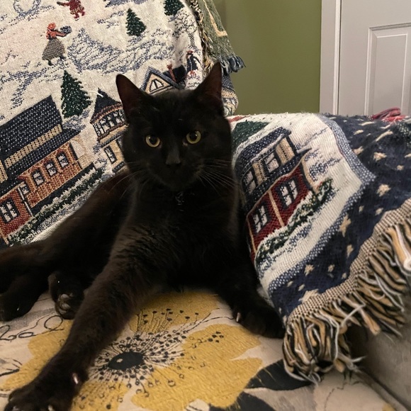 About my Closet, please read! - Picture 4 of 4